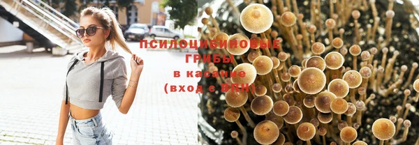 дурь Алексеевка