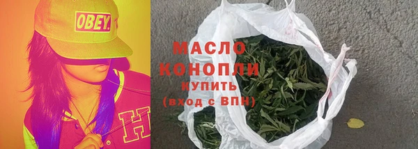 шишки Няндома